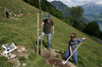 digging